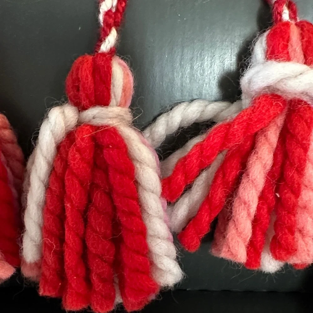 Threshold Festive Red and Pink Tassel Garland